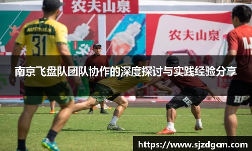 南京飞盘队团队协作的深度探讨与实践经验分享